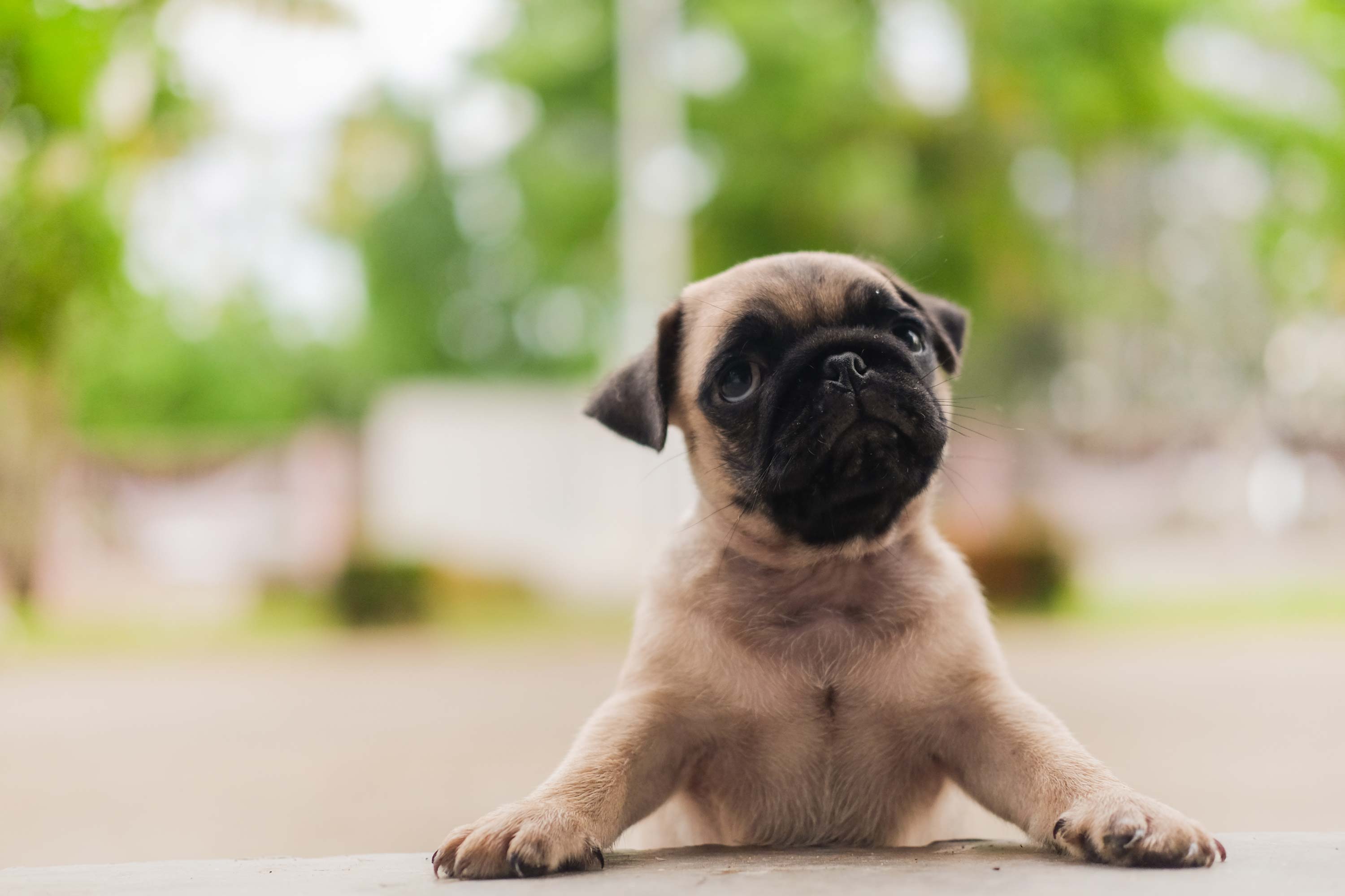 shutterstock_642843328